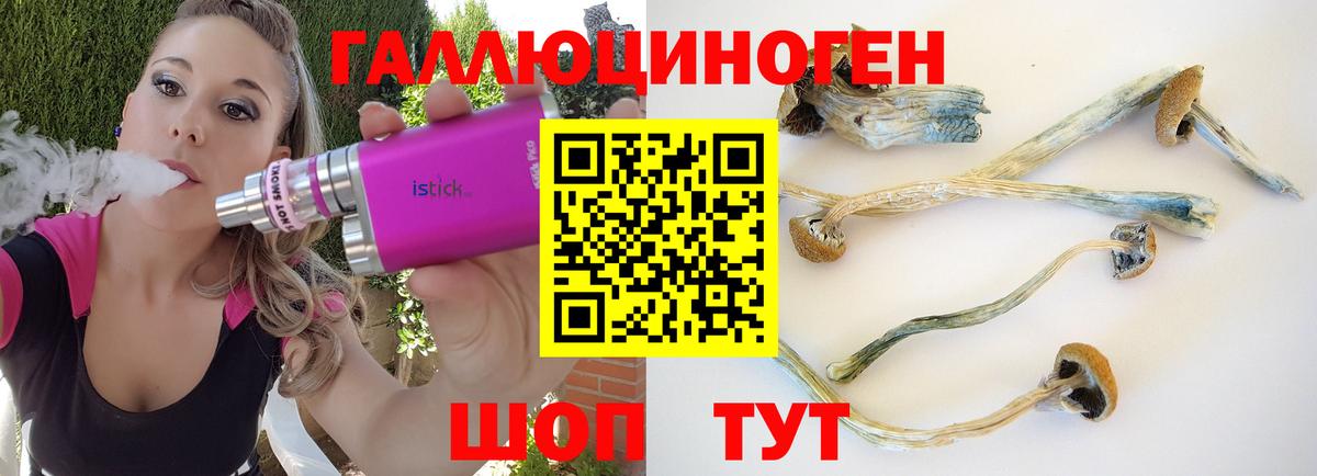 Галлюциногенные грибы GOLDEN TEACHER  Вход с VPN  Анжеро-Судженск 